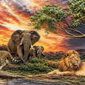 Heuer 3D Poster Wildtiere im goldenen Sonnenuntergang
