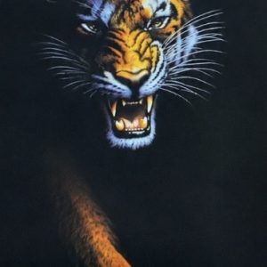 Heuer 3D Schlüsselanhänger Tiger – Ausdrucksstarke Schönheit