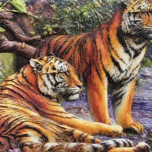 Heuer 3D Poster Tigerduo am Wasser