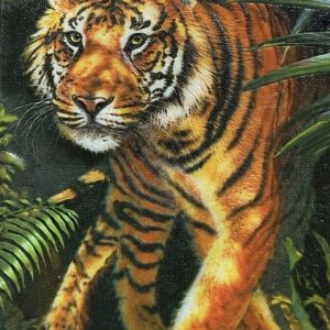 Heuer 3D Schlüsselanhänger Tiger – Schönheit des Dschungels
