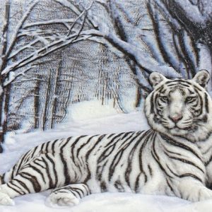 Heuer 3D Poster Weißer Tiger im Winterparadies