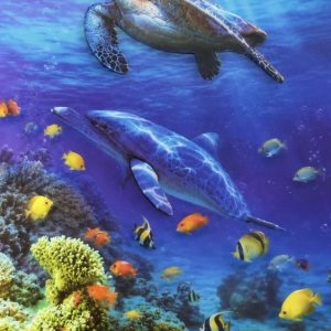 Heuer 3D Schlüsselanhänger Meeresschildkröte und Delfin im Riffparadies