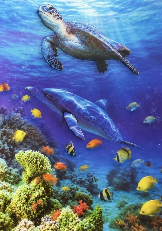 Heuer 3D Schlüsselanhänger Meeresschildkröte und Delfin im Riffparadies