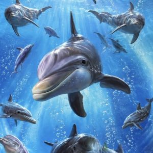 Heuer 3D Schlüsselanhänger Delfine – Gemeinsam durchs Meeresblau