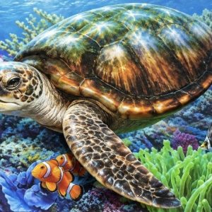 Heuer 3D Poster Meeresschildkröte – Begegnung im Korallenriff