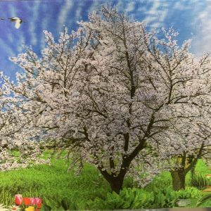 Heuer 3D Poster Frühlingstraum mit blühendem Baum