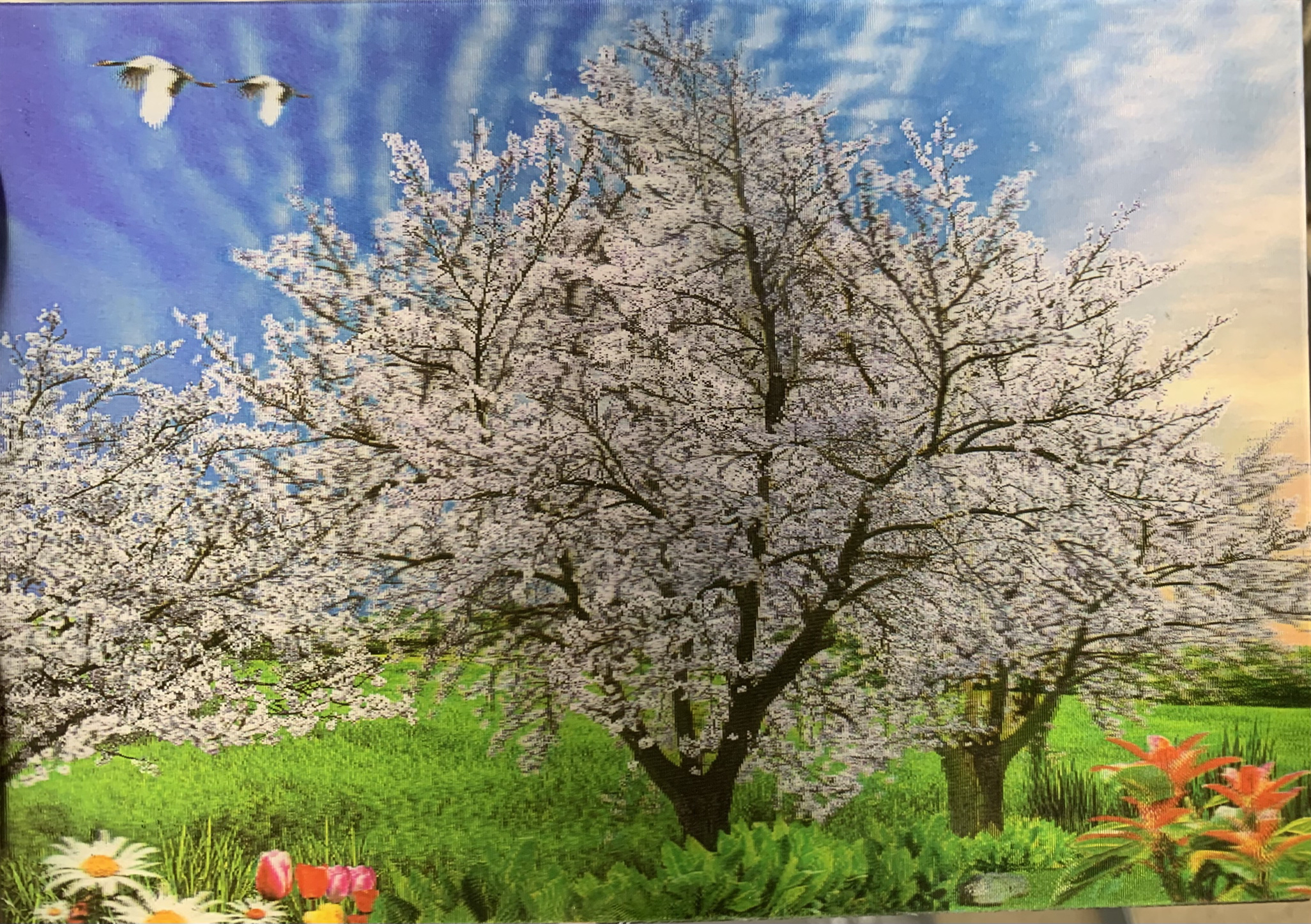 Heuer 3D Poster Frühlingstraum mit blühendem Baum