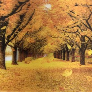 Heuer 3D Poster Goldener Herbstspaziergang