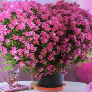 Heuer 3D Schlüsselanhänger Pinkfarbene Blütenpracht