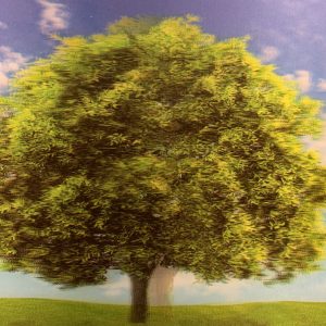 Heuer 3D Schlüsselanhänger Sommerbaum unter blauem Himmel
