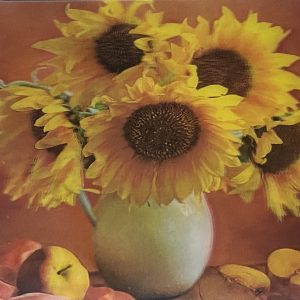 Heuer 3D Poster Sonnenblumen – Sonnige Blumengrüße