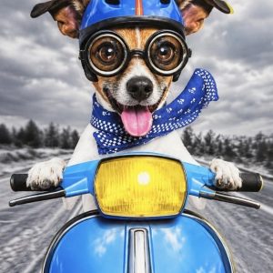 Heuer 3D Schlüsselanhänger Hund auf Roller – Winterabenteuer