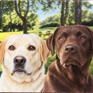 Heuer 3D Poster Labradorduo im Grünen