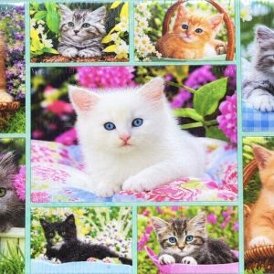 Heuer 3D Schlüsselanhänger Katzenbabys – Eine bezaubernde Collage
