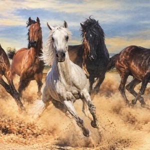Heuer 3D Poster Pferdeherde – Freiheit im Galopp
