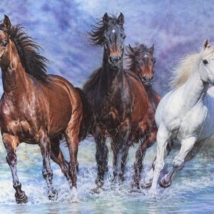 Heuer 3D Poster Pferdetrio – Galopp durchs Wasser