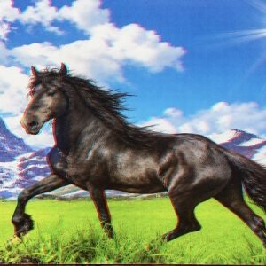 Heuer 3D Poster Schwarzes Pferd – Freiheit vor Bergkulisse
